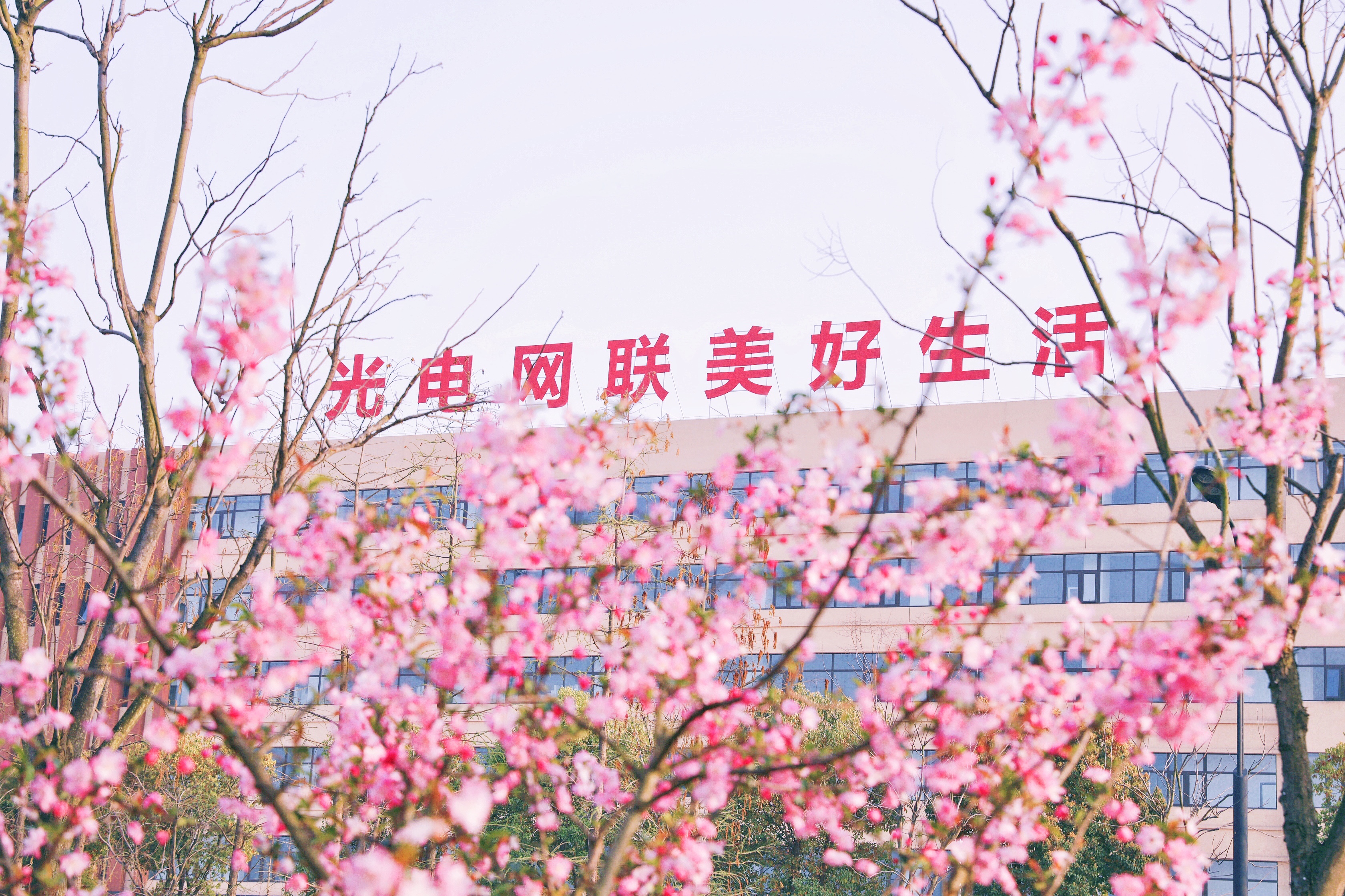 J9游戏·【中国】官方网站